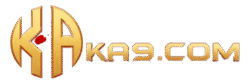 KA9 GAME Logo